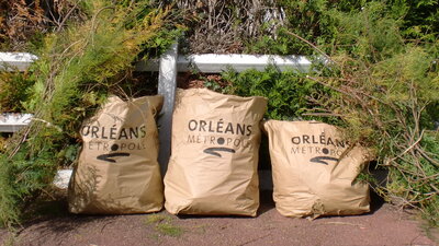 ♻️🌳 Collecte des déchets végétaux